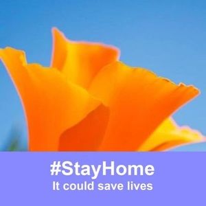 Meet your Posher, Diana